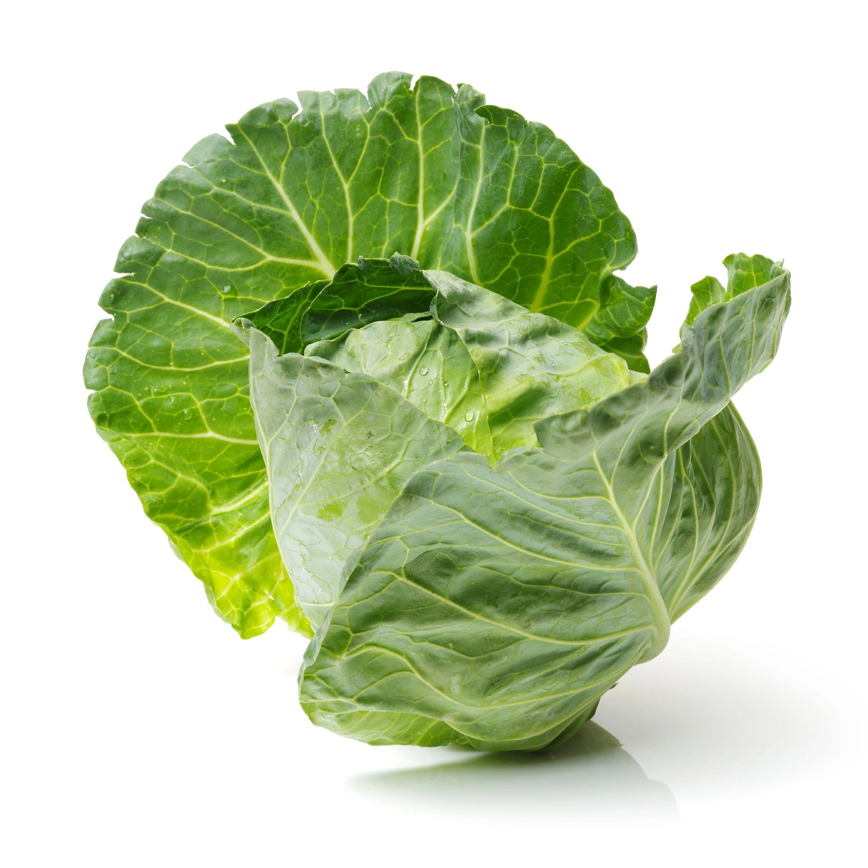 Fresh green cabbage close up